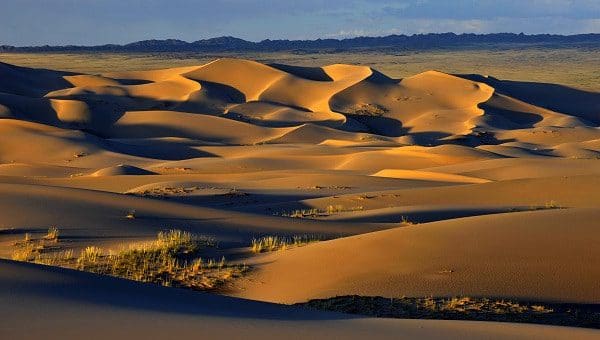 Wüste Gobi, Mongolei